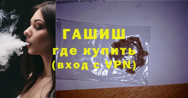 хмурый Аркадак