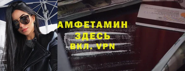 хмурый Аркадак