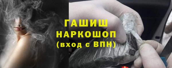 хмурый Аркадак