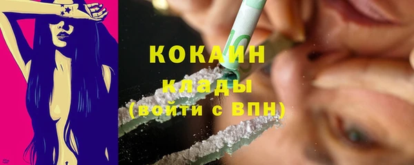 хмурый Аркадак