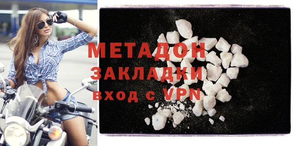 хмурый Аркадак