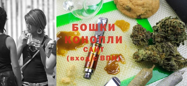 хмурый Аркадак