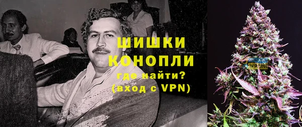 хмурый Аркадак