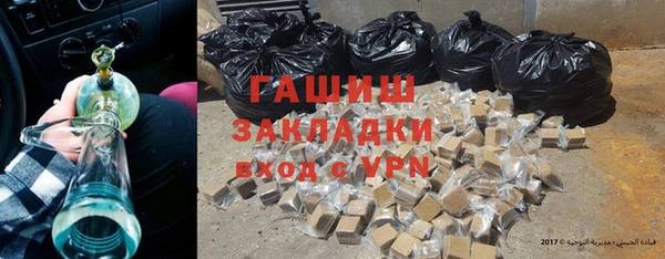 хмурый Аркадак