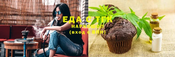 хмурый Аркадак