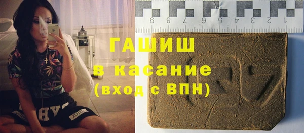 хмурый Аркадак