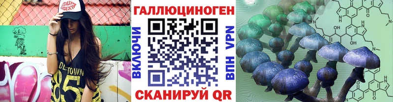 Галлюциногенные грибы мицелий  продажа наркотиков  Шелехов 
